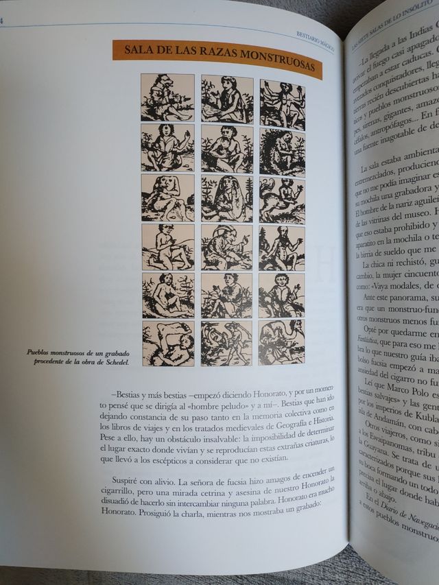 Bestiario mágico. Jesús Callejo