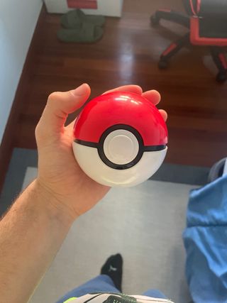 Pokeball adivina