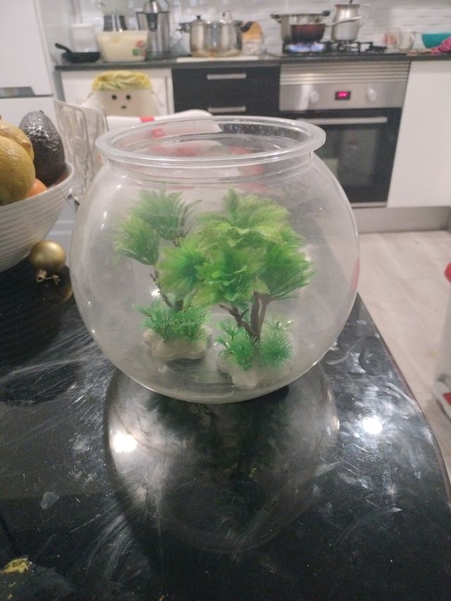 Burbuja acrílico para peces