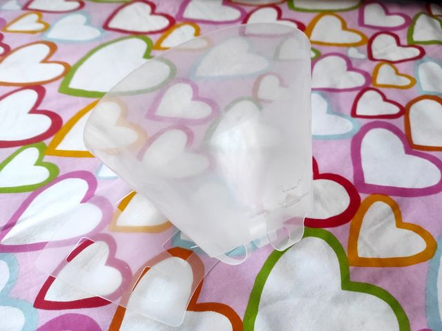 Collar isabelino animales