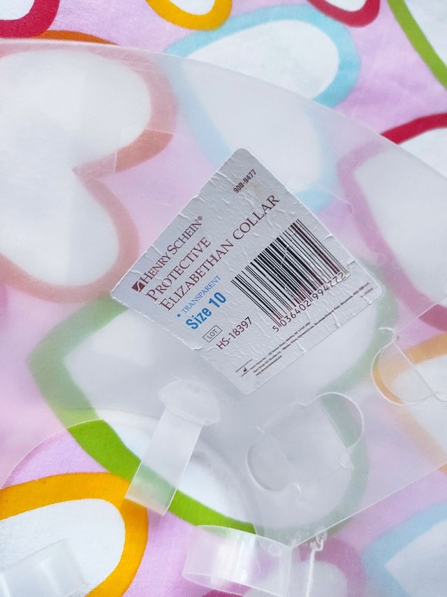 Collar isabelino animales