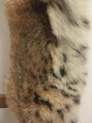 SCIARPA/STOLA PELLICCIA 