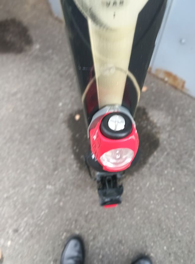 Esquis marca rosignol