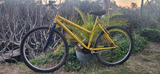 Bicicleta de montaña 