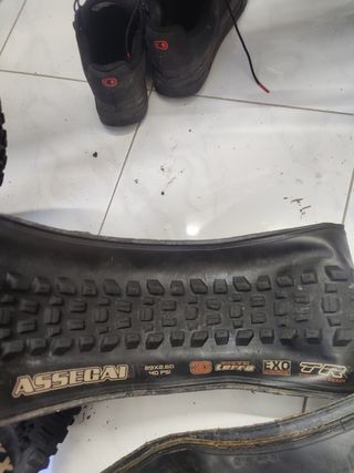 Maxxis Assegai 