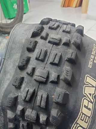 Maxxis Assegai 