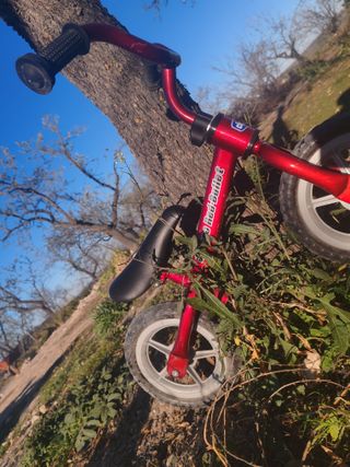 Bicicleta De Equilibrio