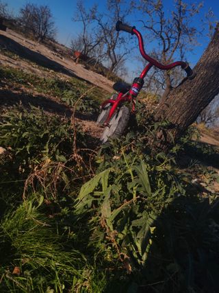 Bicicleta De Equilibrio