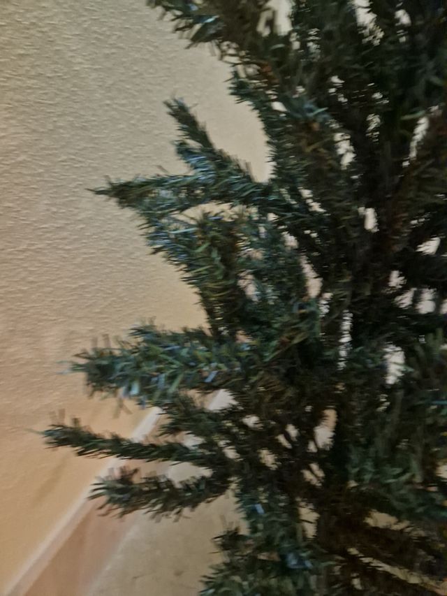 Arbol o abeto de navidad