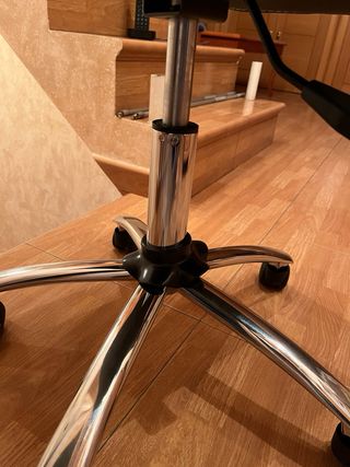 Silla de piel con ruedas
