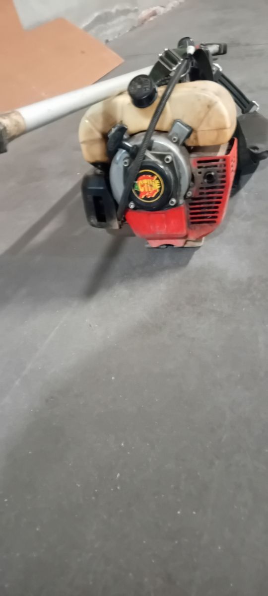 Vibratore oliva o mandorla