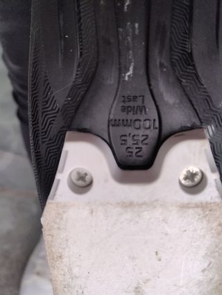 Botas de esquí 
