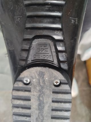 Botas de esquí 