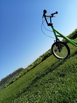 Patinetes