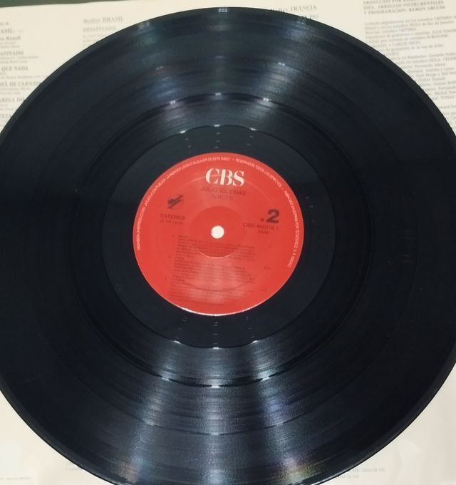 Vinilo LP Julio Iglesias - Raíces