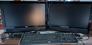 2 Monitores de ordenador OKI
