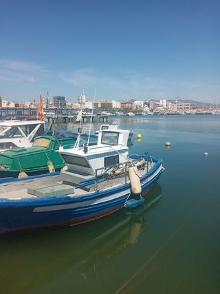 Barca para pesca
