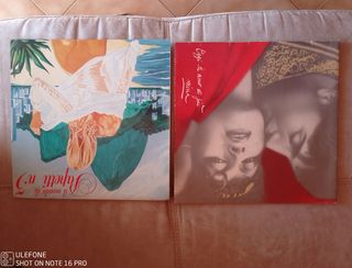 Dischi in vinile 