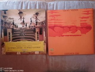 Dischi in vinile 