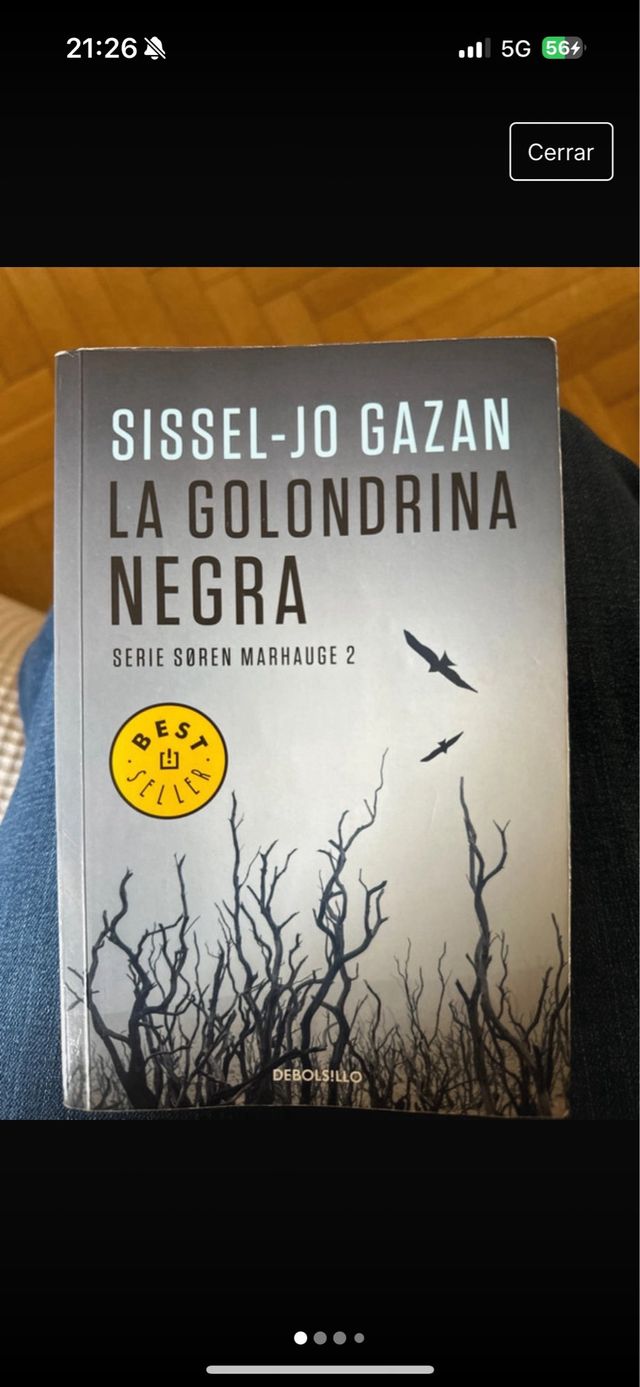 La golondrina negra libro