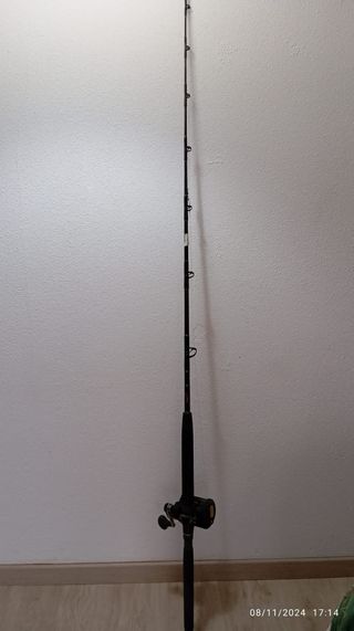 Cañas de pescar con carrete