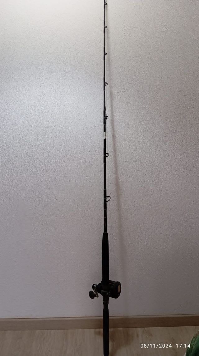 Cañas de pescar con carrete