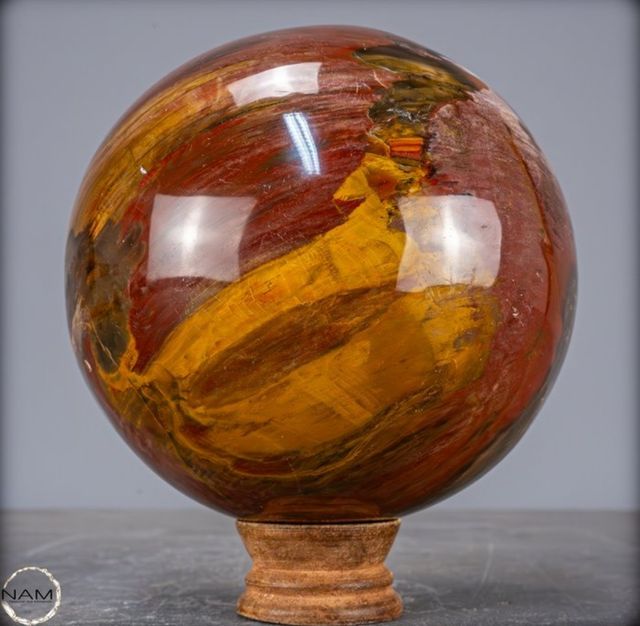 Sfera legno fossile del Madagascar, ultimo giorno