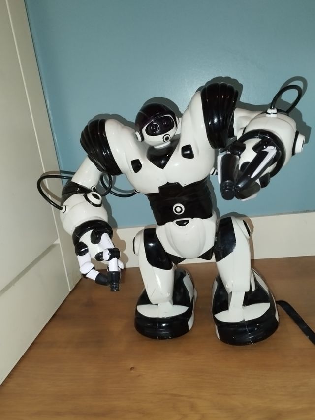 Robosapien 