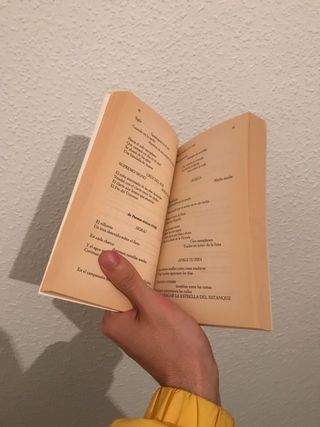 Poesía y poética. Vicente Huidobro. 1911/1948