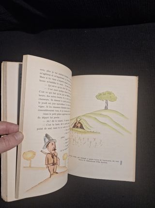Antoine de Saint-Exupéry. El principito [Francés]