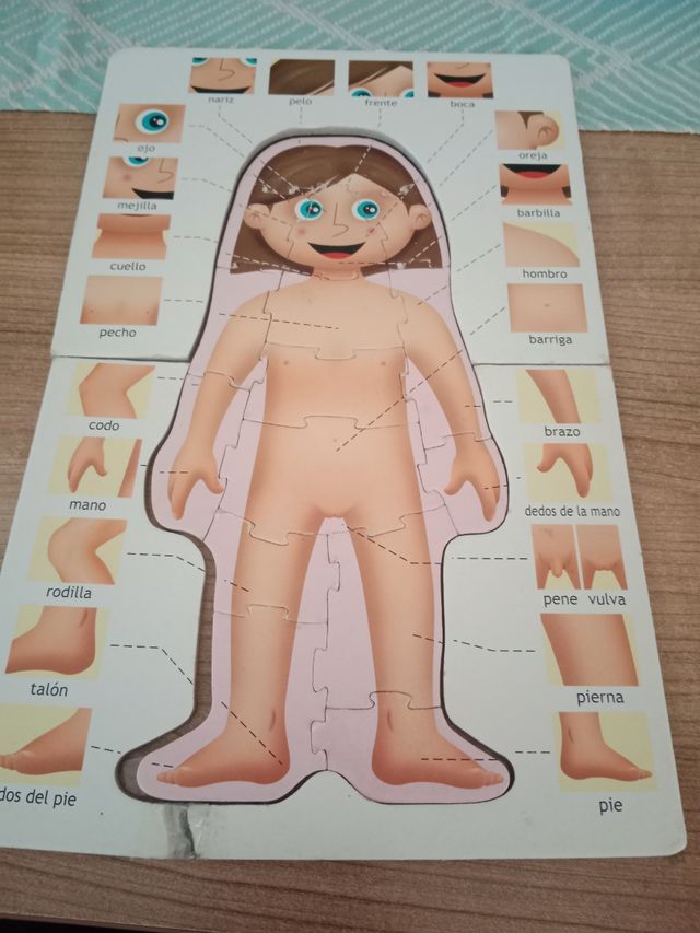 Puzzle Cuerpo humano.