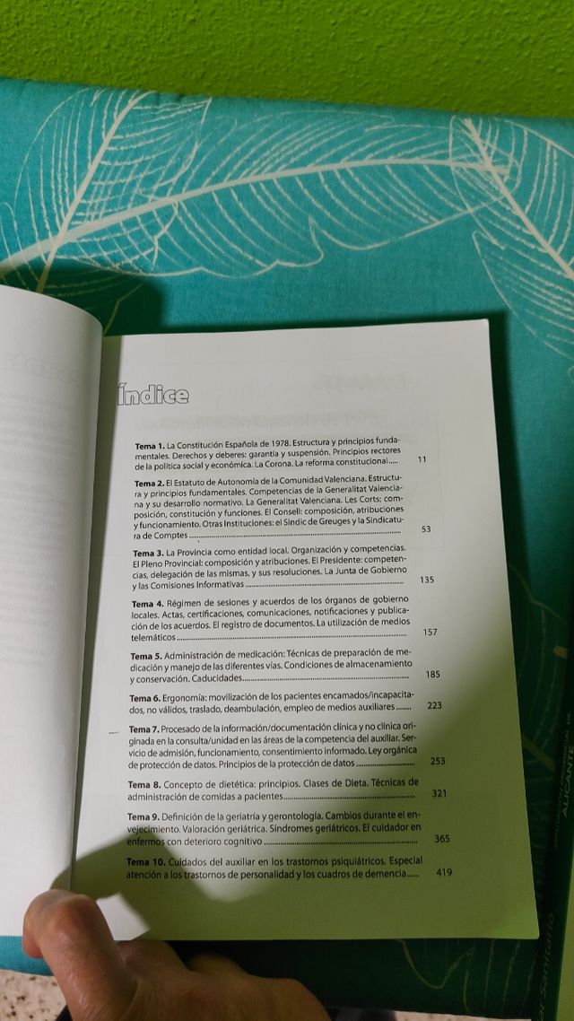 Temario TCAE Diputacion