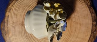 Figurine/scatole con decorazioni inglesi, cinesi e russe