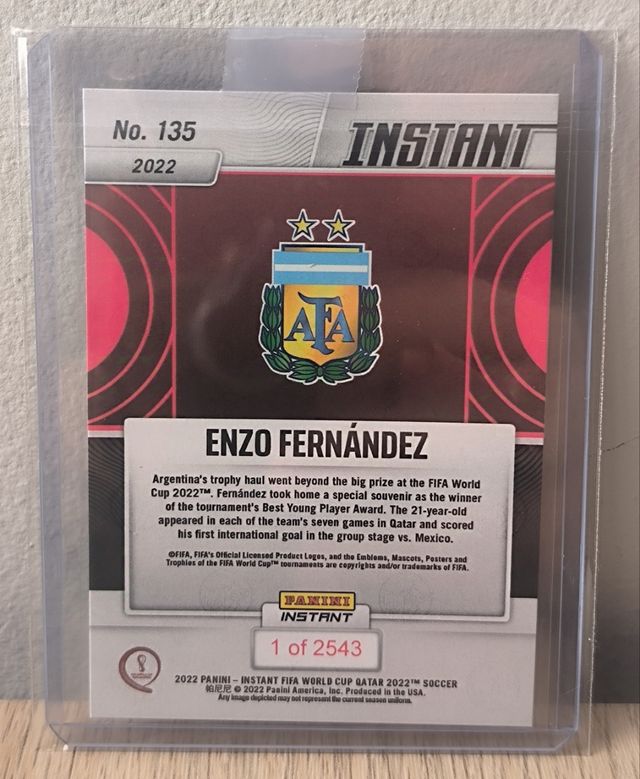 Enzo Fernández Qatar 22