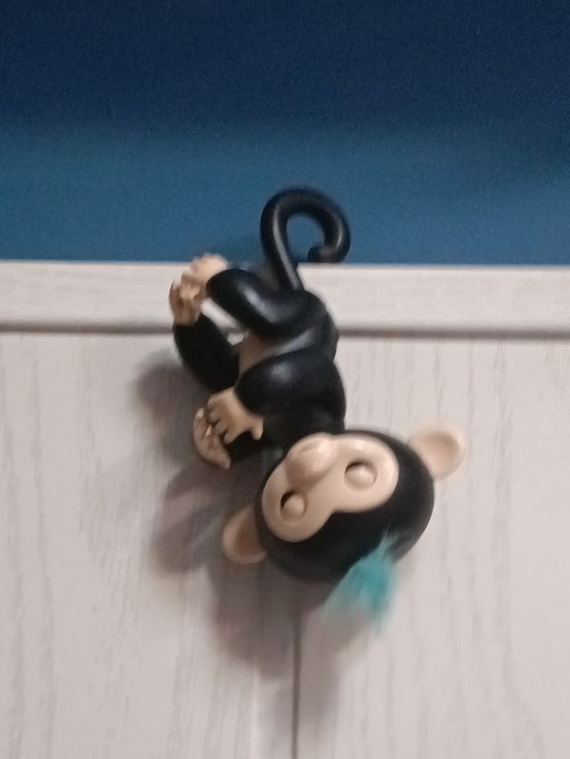 Mono interactivo de finguerlings