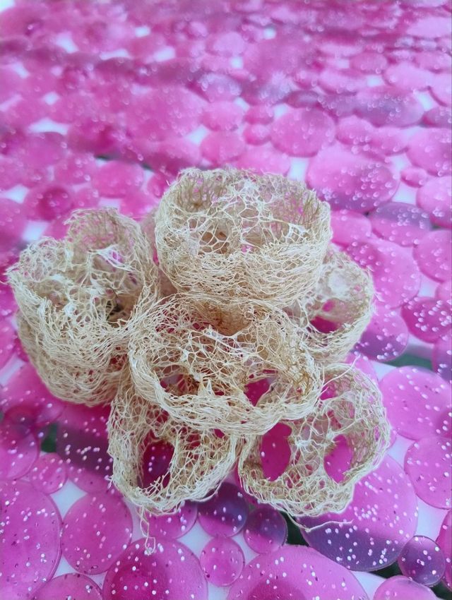 7 Dischetti di luffa