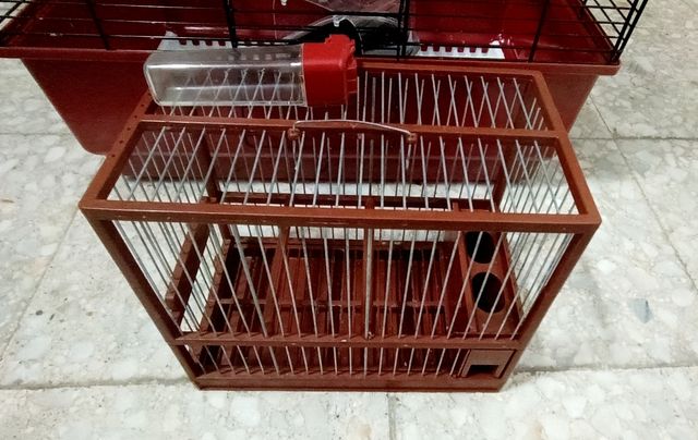 Jaula de pájaro