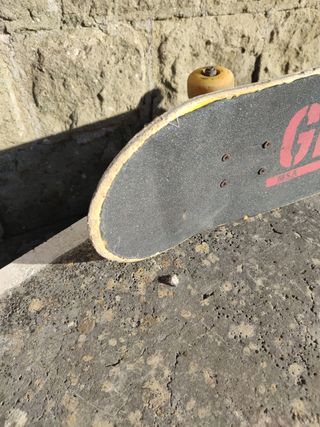 Skateboard Grizzly