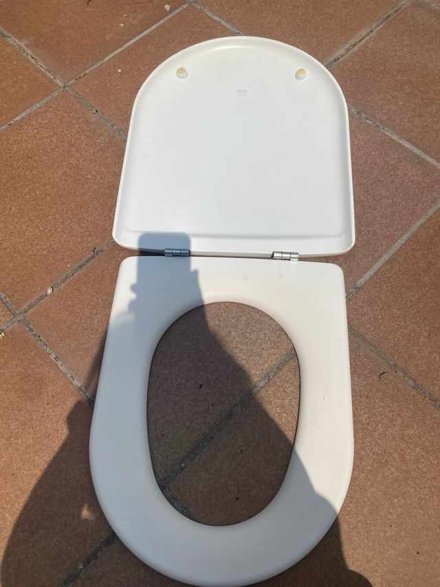 Inodoro Roca Meridian sin cisterna.