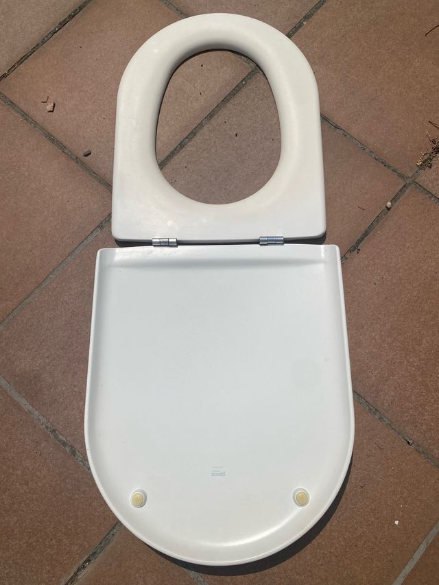 Inodoro Roca Meridian sin cisterna.