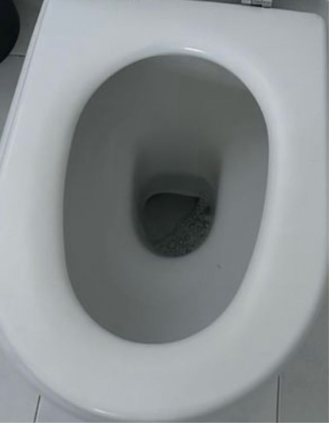 Inodoro Roca Meridian sin cisterna.