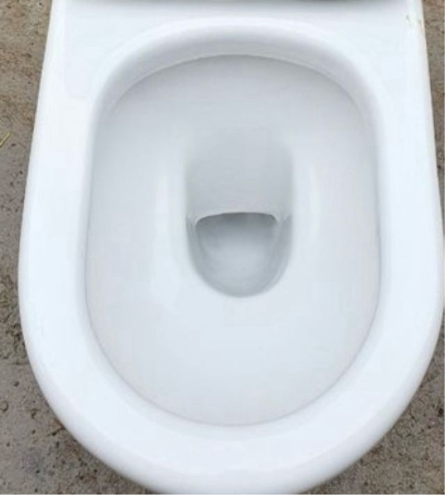 Inodoro Roca Meridian sin cisterna.