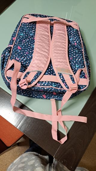 Mochila y carrito plegable