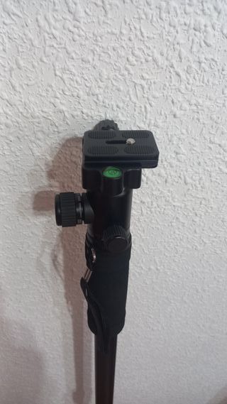 Monopode con zapata SWISS PRO QR10