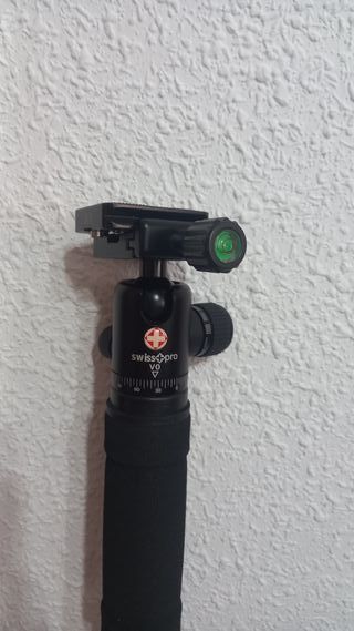 Monopode con zapata SWISS PRO QR10