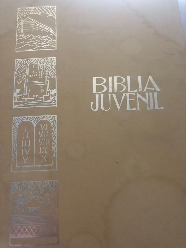 Biblia juvenil