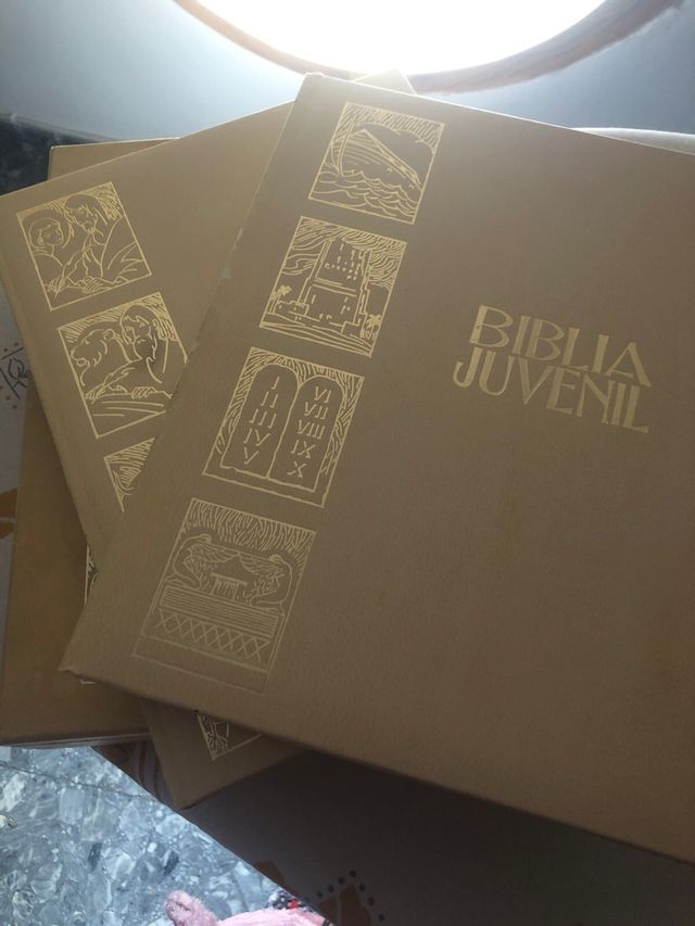Biblia juvenil