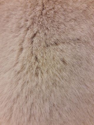 Abrigo de pelo beige talla M Zara