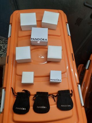 Cajas y bolsas Pandora auténticas