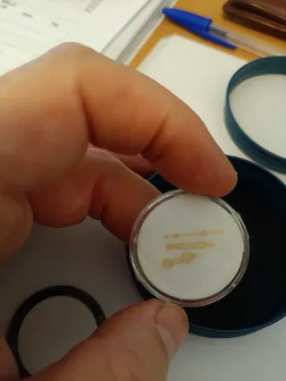 Seiko agujas estilo Rolex color oro